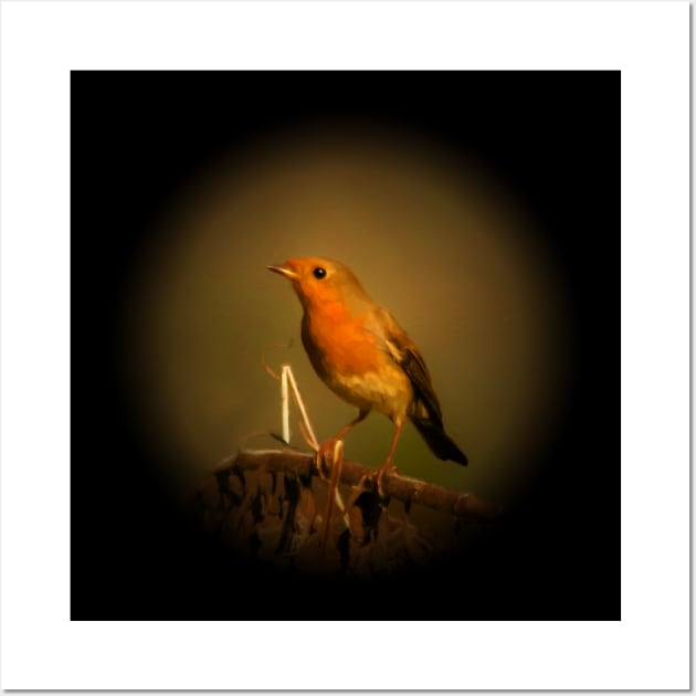 Robin Wall Art by Guardi